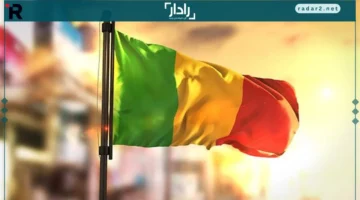 جدل واسع.. إعدام مؤثرة على تيك توك في مالي يهز الرأي العام